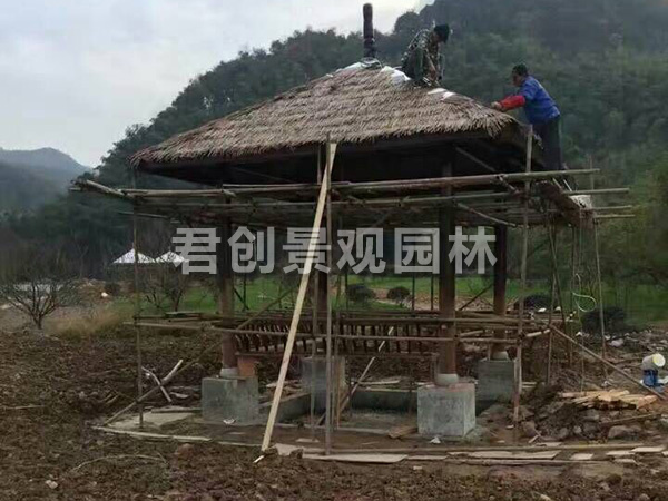 仿真茅草系列