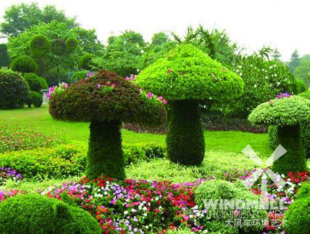 植物绿雕在空气净化方面的作用介绍